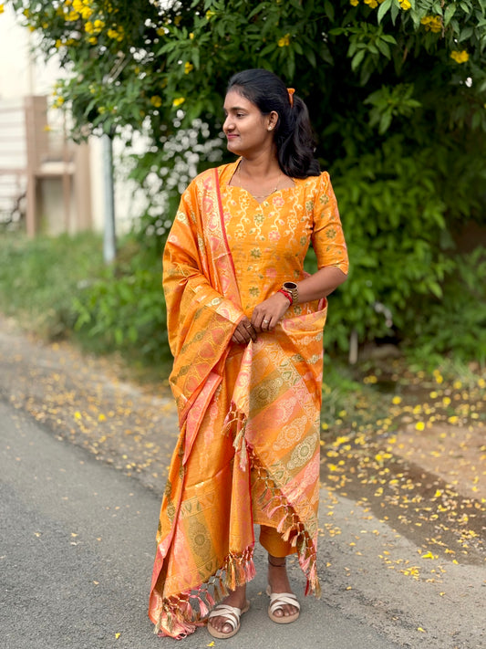 LA283~Mango Banarasi suit✨